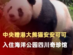 中央赠港大熊猫入住新居