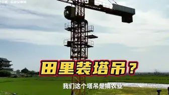 10亩田秧盘5分钟搬完？当工业塔吊遇上育秧抢农时，机械化春耕简直太轻松！
