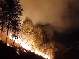 广东肇庆发生山火：近600人赴现场扑救，暂无人员伤亡