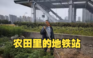 投资约2亿元 地铁站竟建在农田里 浙江宁波：赶快“补课”