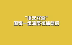“德艺双馨”国家一级演员被捕背后。