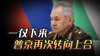 美国发难之际，俄罗斯转向上合，普京想做的，没中国还真办不成