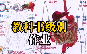 初中生暑假生物作业媲美教科书