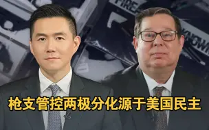 枪支管控两极分化源于“美国民主的痼疾”