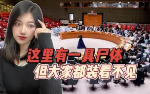 欧洲外交官谈北溪爆炸案：每个人都能看到“遗体”，但都装没看见