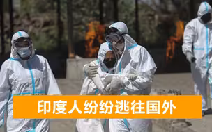 印度民众逃离祖国，哈里斯致电80岁舅舅：会照顾好在美国的表妹