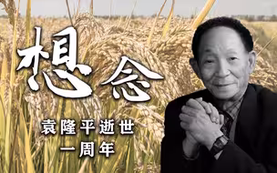 袁隆平离开我们一年了
