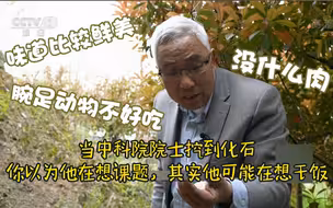 当院士遇到化石，你以为他在想课题，其实他可能在想干饭