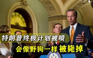 1月6号的计划有戏吗？党内2号人物放话：特朗普会像狗一样被枪毙掉
