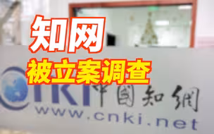 知网，被立案调查