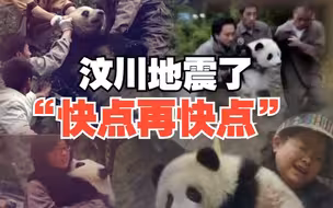 “奶妈”回忆汶川地震时 “生死狂奔”转移大熊猫：只想快点再快点！
