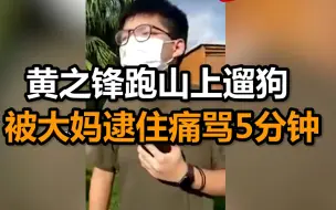 黄之锋跑山上遛狗 被大妈逮住痛骂5分钟