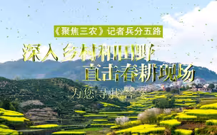 【聚焦三农】直击春耕现场：谁会选择农业生产托管