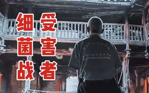 【新青年x王超男】在和平年代的我们，还记得曾有过这样一个“世界”吗？