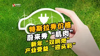 产业链受益“迎头彩”，新能源车市2021年还有更大惊喜？