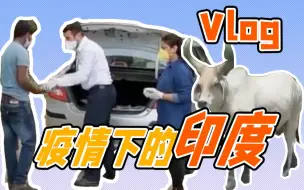 “神牛”压马路  记者探访疫情下的印度新德里