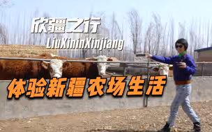 刘欣在新疆丨一起体会新疆的农场生活！