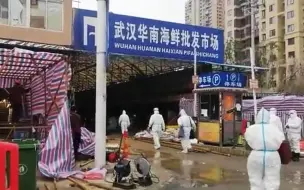武汉疫情会否由冷冻食品引发？