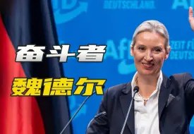 德国选择党高歌猛进，获马斯克力挺，魏德尔会是下一个默克尔吗？