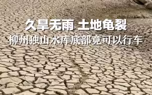 久旱无雨 土地龟裂，柳州独山水库底部竟可以行车