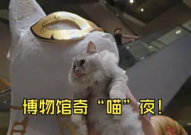 上海博物馆奇“喵”夜登场 200只猫盛装打卡