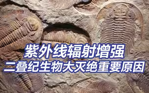紫外线辐射增强是二叠纪生物大灭绝重要原因