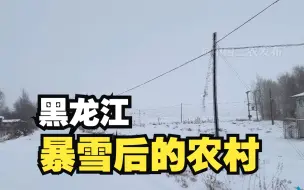 聚焦三农丨黑龙江暴雪后的农村