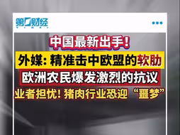 中国出手，外媒：精准击中欧盟软肋