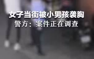 女子当街被小男孩袭胸 警方：案件正在调查