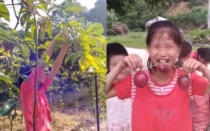 百香果女童案凶手被判死刑 女童母亲崩溃痛哭：换不回我的女儿了