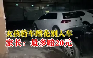 女孩蹭花别人车家长只赔20元：要不行你把孩子送到派出所