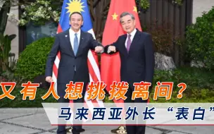 又有人想挑拨离间？马来西亚外长“表白”王毅被黑，重磅发声回怼
