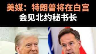 美媒：特朗普将在白宫会见北约秘书长