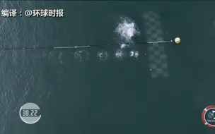 “飞鱼”VS鲨鱼！菲尔普斯2秒之差输给了大白鲨