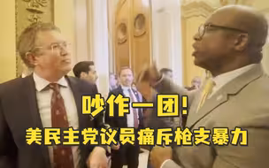 吵作一团！美民主党议员痛斥枪支暴力，共和党人反驳：教师持枪的学校从未有过枪击案