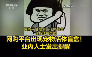 网购平台出现宠物活体盲盒！业内人士发出提醒