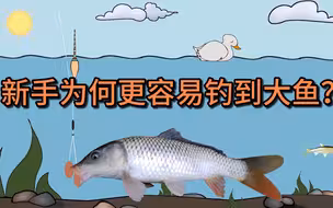新手为何更容易钓大鱼？