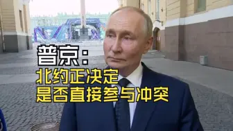 普京：北约正决定是否直接参与冲突