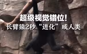 超级视觉错位！长臂猿2秒“进化”成人类