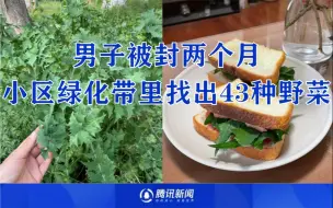 吃绿化带吃出新境界！上海男子被封近2月，在小区发现84种草药43种野菜