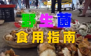 又 名 ：《 防 止 眼 前 跑 小 人 指 南 》