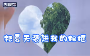 立夏｜把夏天装进我的相框