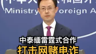 外交部：中泰缅雷霆式合作打击网赌电诈