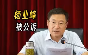 “近于全面破纪”，“保护伞”杨业峰被公诉！