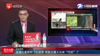 云南迁徙象群距昆明界仅3公里