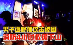 男子遭野猪攻击被困山上，消防4小时紧急救援