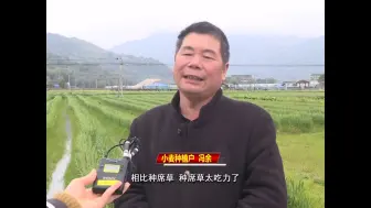 苍南：冬闲田里种小麦 农闲时节再增收