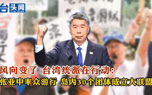 风向变了 台湾统派在行动：张亚中率众游行 岛内30个团体成立大联盟