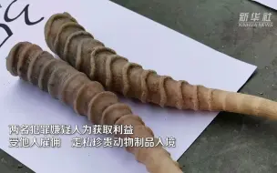 案值296万！广西警方查获一批走私高鼻羚羊角和白犀角手镯