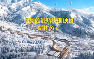 雪车为什么会成为冬奥会最烧钱的项目？